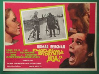 Ingmar Bergman The Passion Of Anna Liv Ullman En Passion Mexican Lobby Card 6