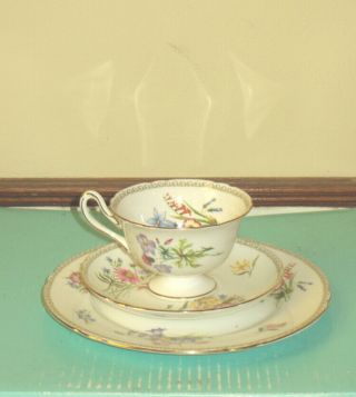 Shelley " Wild Flowers " Three Piece Set: Teacup,  Saucer,  Plate