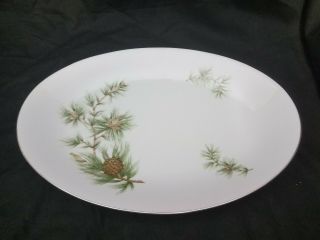 Norcrest Fine China Cascade Pine 16 1/2 " Oval Platter With Platignum Trim