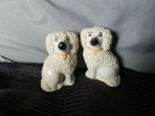 Antique Old Staffordshire Ware England Poodle Dog Figurines Confetti 2.  75 " Tall
