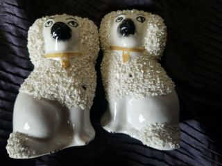 Antique Old Staffordshire Ware England Poodle Dog Figurines Confetti 2.  75 