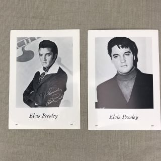Set of 14 Elvis Presley Vintage Portraits Glossy Black White Pictures 1935 1977 2