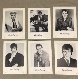 Set of 14 Elvis Presley Vintage Portraits Glossy Black White Pictures 1935 1977 5