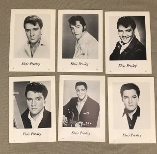 Set of 14 Elvis Presley Vintage Portraits Glossy Black White Pictures 1935 1977 6