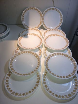 Set Of 12 Corelle Livingware Corning Butterfly Gold Dinner Plate 10 1/4 "