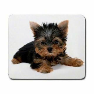 Yorkie Yorkshire Terrier Dog Puppy Mouse Pad Mats Mousepad Hot Gift