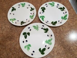 3 Southern Potteries Blue Ridge Mountain Ivy 10 " Dinner Plates Candlewick Euc