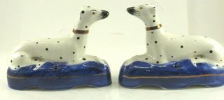 Pair Vintage Staffordshire Ware,  Dogs,  Dalmations,  8 " Long,  Kent England