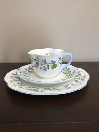 Set Of Shelley China Harebell 13590 Dainty Cup,  Saucer,  Dessert Or Lunch Plate