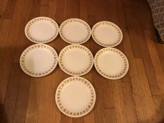 Set Of 7 Corelle By Corning,  Gold Butterfly 8 1/2 Inch Salad/ Lunch Plates