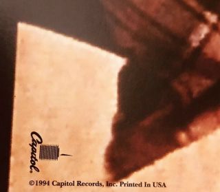 Mazzy Star Hope Sandoval Fade Into You Capitol Records 94 Promo Poster Flat 4