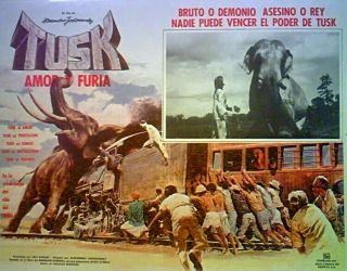 Alejandro Jodorowsky Elephant; Tusk; Lobby Card Vintage 1978