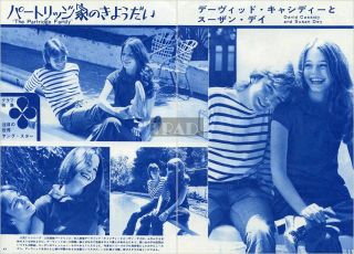 David Cassidy Susan Dey The Patridge Family 1971 Japan Clippings 2 - Sheets Mb/o