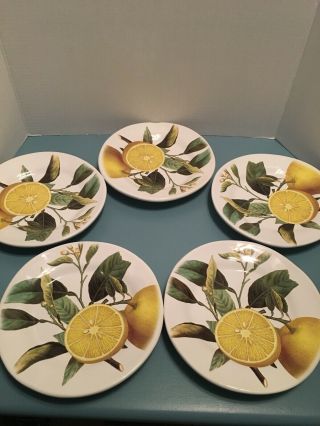 Set Of 5 Valori Home Ceramic Lemons Limones - Made In Italy 8.  5 " Salad Plates