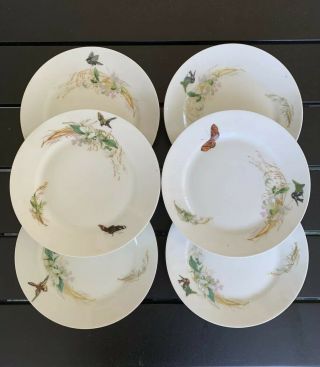 Antique Set (6) Haviland Limoges Bird Butterflies Floral Dessert Plates 7.  25”