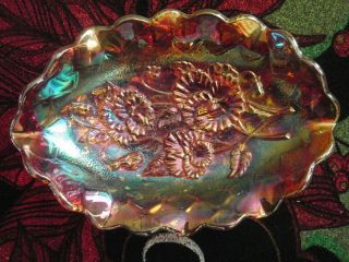 Imperial Glass Vintage Pansy Marigold Carnival Glass Pickle Dish