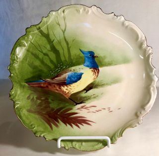 Limoges B&h France Hand Painted 10 " Bird Plate