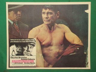 Hard Times Charles Bronson Street Fighter Peleador Callejero Mexico Lobby Card 3