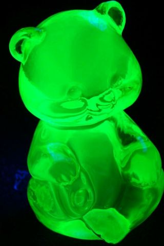 Fenton Vaseline Yellow Glass Sitting Baby Bear Paperweight Figurine Glows Ga73