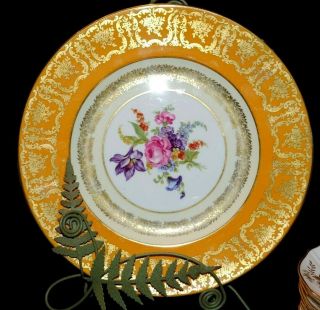 Rare Vtg Discontinued Hand Painted Dinner Plate Paragon England Orange Gold