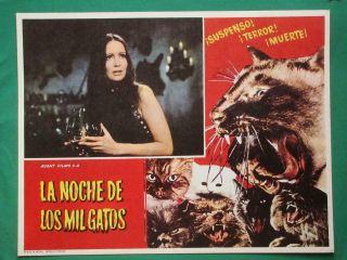 The Night Of A Thousand Cats Horror Noche De Los Mil Gatos Mexican Lobby Card