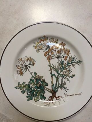 Villeroy & Boch Botanica Bread And Butter Plates - (4) - Carum Carvi Pattern