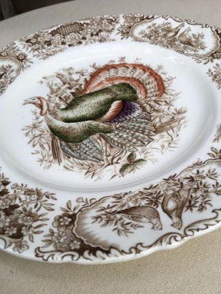 Johnson Brothers Flying Wild Turkey Windsor Ware Dinner Plate 10.  5 " Perfect Cond