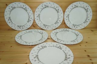 Style House Picardy (6) Dinner Plates,  10 3/4 "