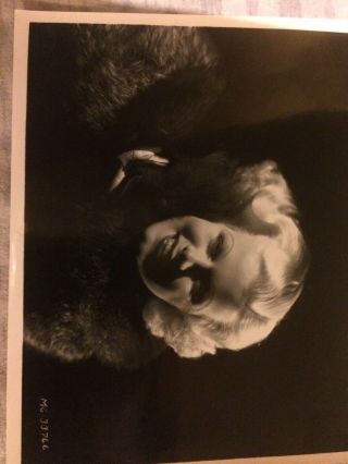 Vintage Jean Harlow Photo 8x10 Black And White