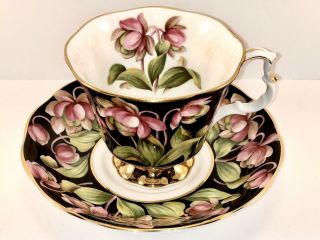 Royal Albert Fine Bone China Teacup And Saucer Provincial Flowers - Pitcher Plant