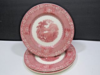 Set Of 3 Royal Staffordshire Jenny Lind Dinner Plate Pink Red 9 7/8 "