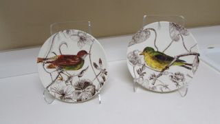 Williams - Sonoma Bird Plates 8 3/4 " Diameter Botanical Birds 2012