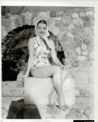 1937 Pin Up Girl Hollywood Studio Photograph Betty Furness 239