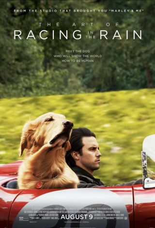 The Art Of Racing In The Rain Movie Poster Ds 27x40 Milo Ventimiglia