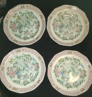 Set Of 4 Adams Calyx Ware Singapore Bird 10” Dinner Plates