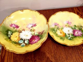 J.  P.  Limoges Hand Painted Bowl And Plate Signed Duval