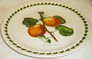 Portmeirion Pomona 10.  5 " Dinner Plate Laurel The Roman Apricot