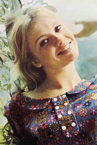 Hayley Mills Smiling Outdoor Portrait For The Family Way 4x6 Photo