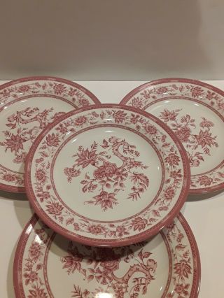 4 Churchill Indian Tree Dinner Plates Made In England