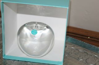 TIFFANY & CO.  VINTAGE LEAD CRYSTAL APPLE PAPERWEIGHT MADE IN GERMANY 4