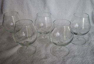 5 Princess House Heritage Etched Glass Patterns Brandy Snifter / Glasses