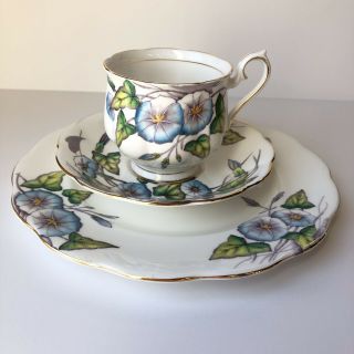 Royal Albert Tea Cup Trio Vintage Morning Glory Flower Of The Month Hand Painted