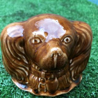 19thc Staffordshire Treacle Glaze Spaniel Dog 