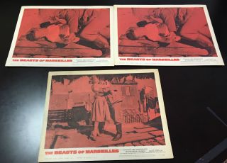 3 Movie Lobby Cards - The Beasts Of Marseilles - 1959 - Stephen Boyd