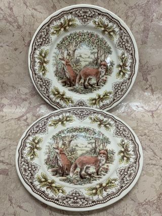 (2) Royal Stafford England Woodland Red Fox Dinner Plates