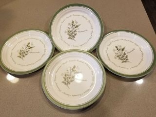 4 Corelle Thymeless Herbs 8 - 1/2” Luncheon Plates