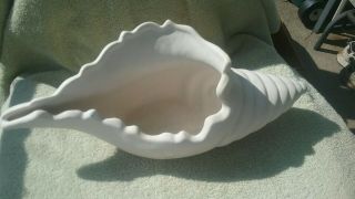 Van Briggle Pottery Large Conch Shell Or Sea Shell Off White Vintage