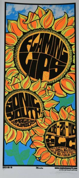 Flaming Lips / Sonic Youth Concert Poster