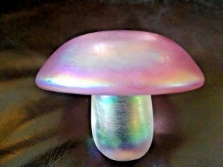 John Ditchfield Glassform Iridescent Pink Glass Mushroom Paperweight 10cm Across