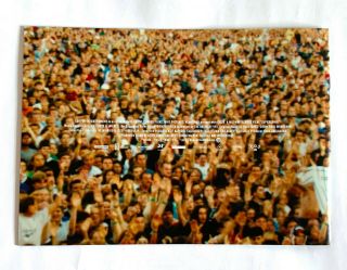 OASIS Supersonic JAPAN MOVIE PROGRAM BOOK 2016 Mat Whitecross Liam Gallagher 8